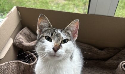 Carmelita Dulceña Sonrisa – Lita