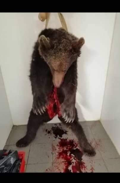 350447115 769452578046548 7328463741029063669 n