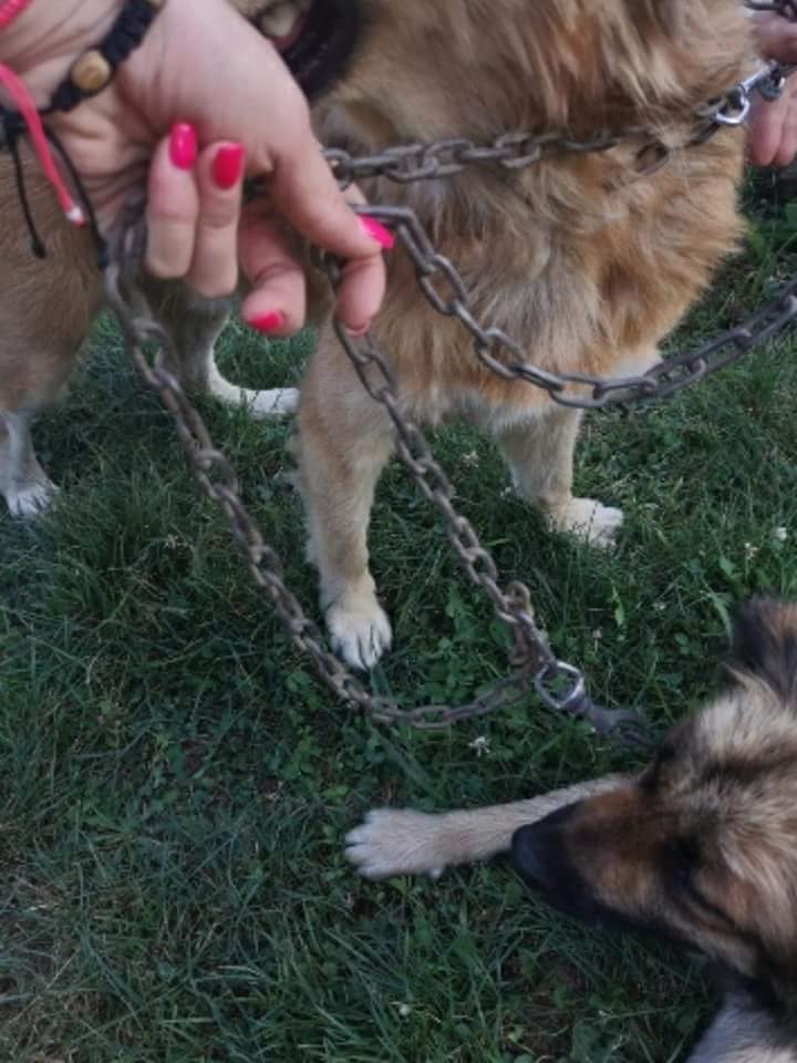 40486135 870620919801549 2259352582394740736 n