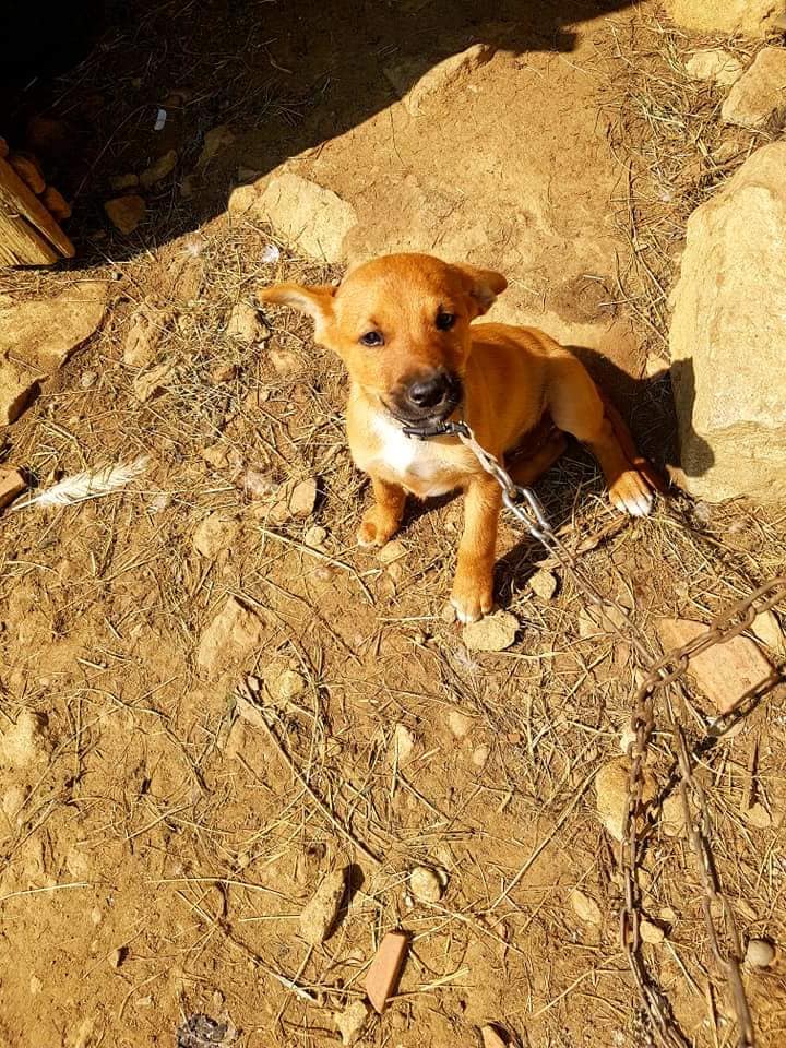 40560591 870783006452007 7286274999617323008 n