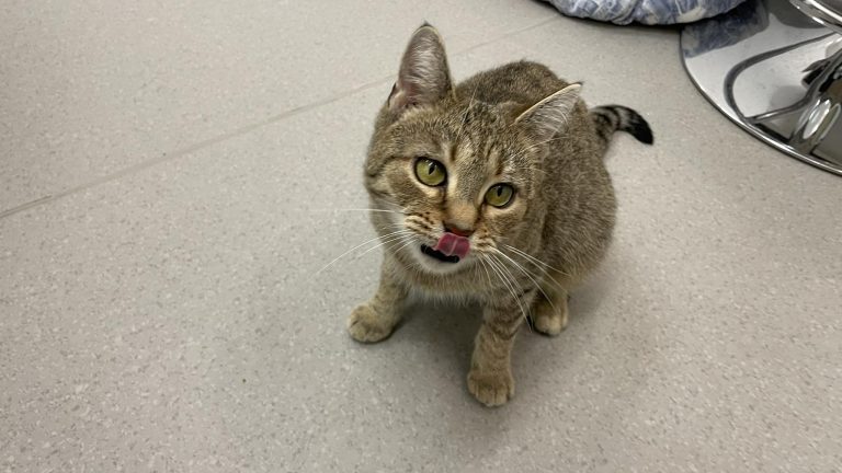 408203804 665417192450752 549107991640263975 n