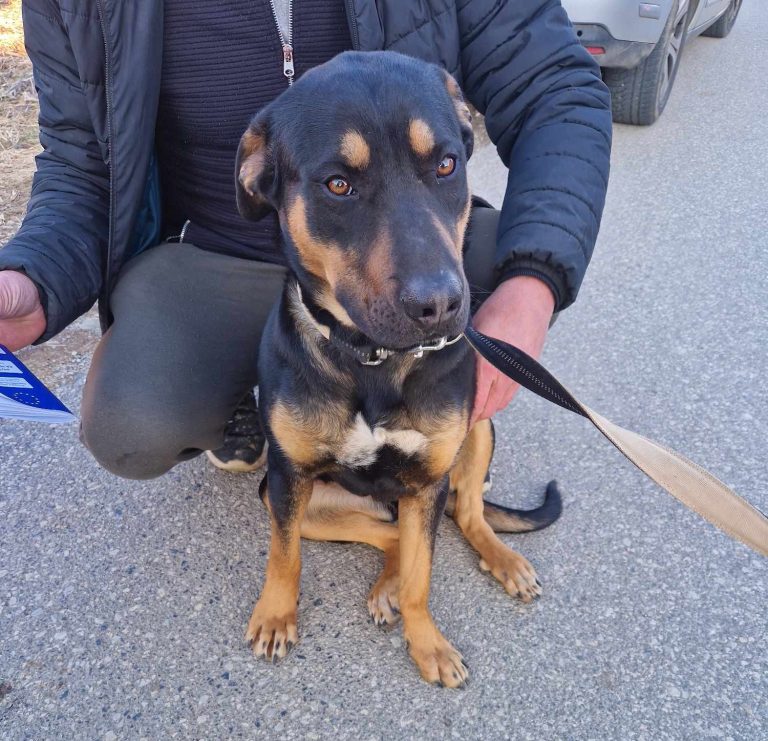 417378824 684854913840313 1194198539587235982 n