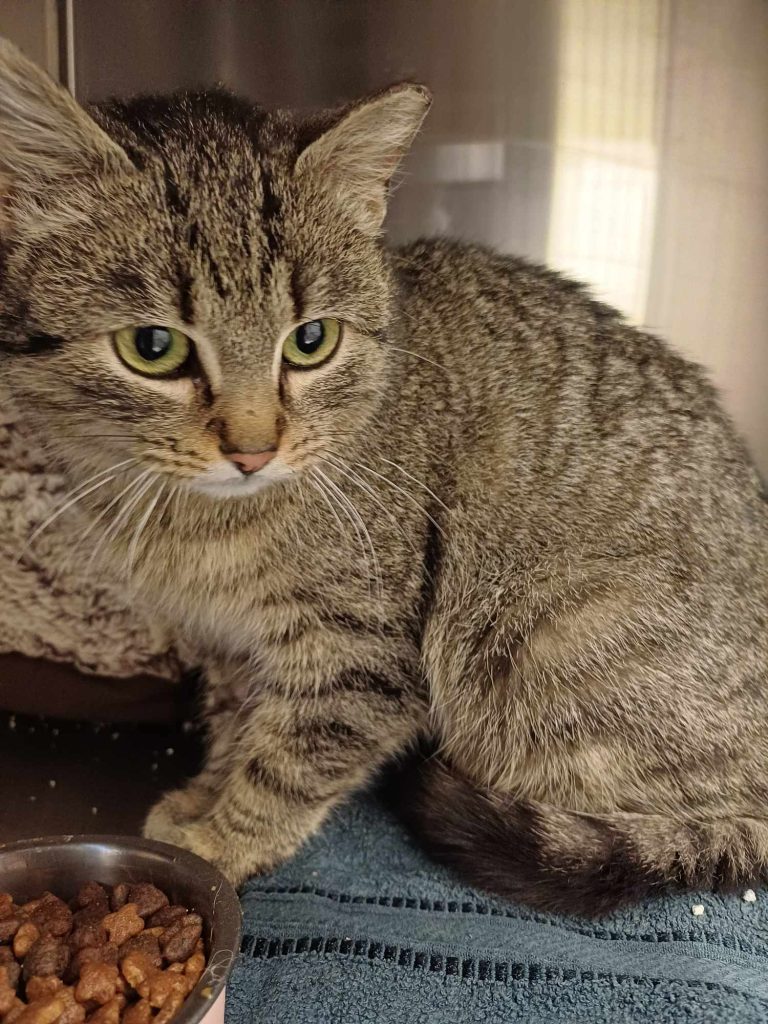 419071163 725486316443839 6239402968429034061 n