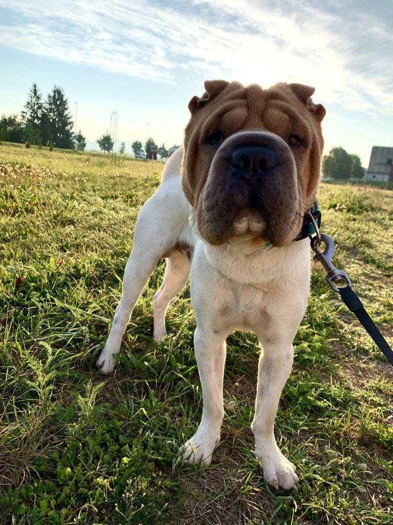 423315484 693655409626930 2830650509905296998 n