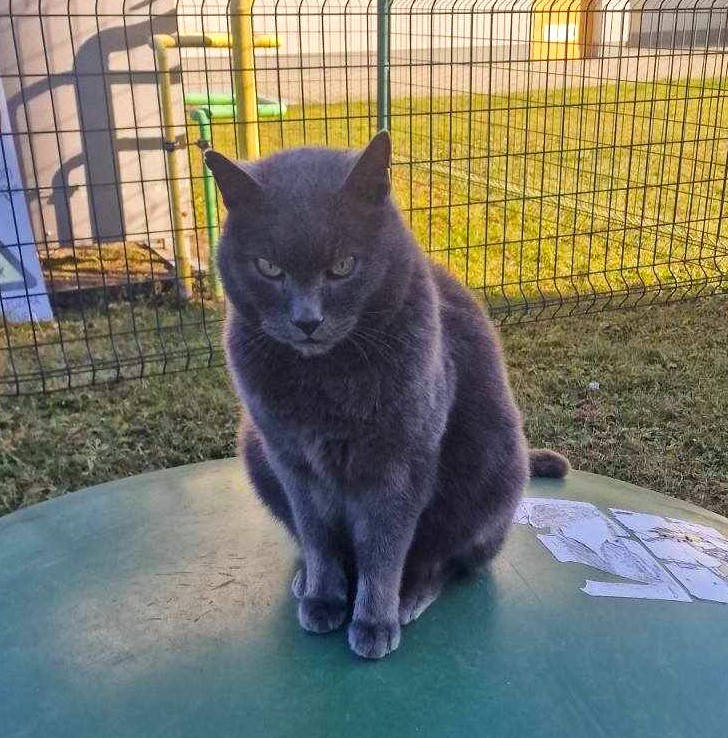 425408050 694760946183043 5258823306772401470 n