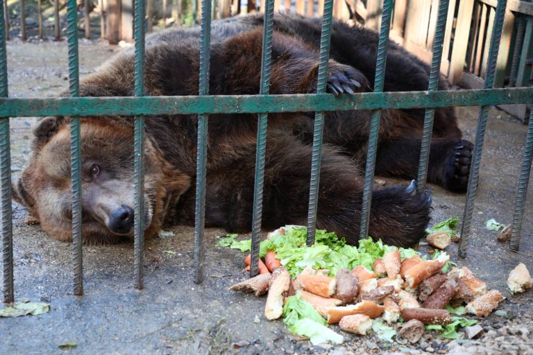 430700371 711902724468865 8049981246139206621 n