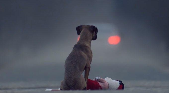 434784041 729762549349549 7693605720889477344 n