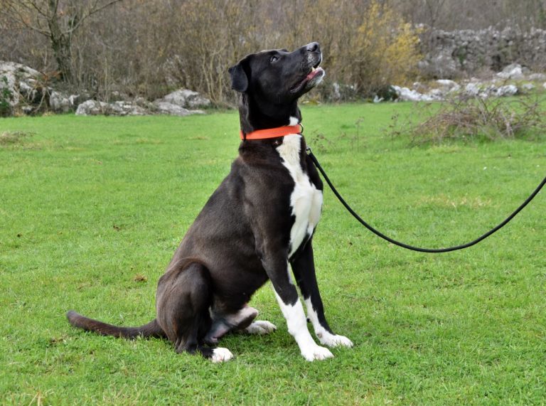 438059777 737776055214865 1804198435233531735 n