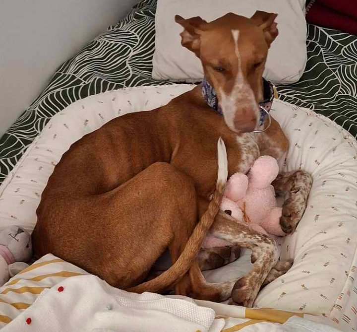 449785407 783897083936095 347050147312352431 n