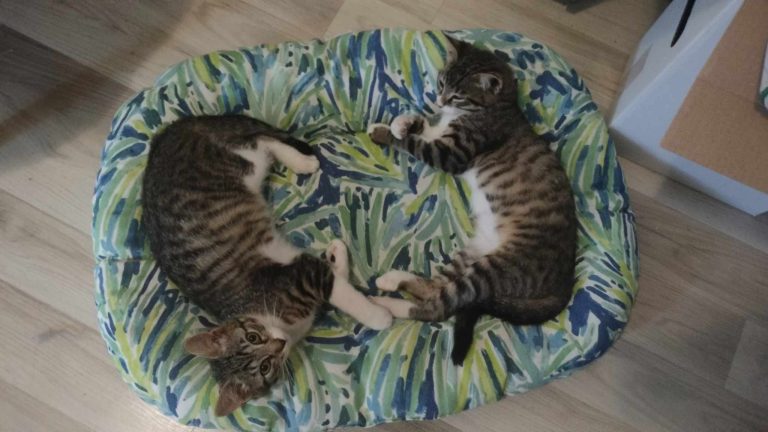 450629558 788587713467032 6762749776157351935 n