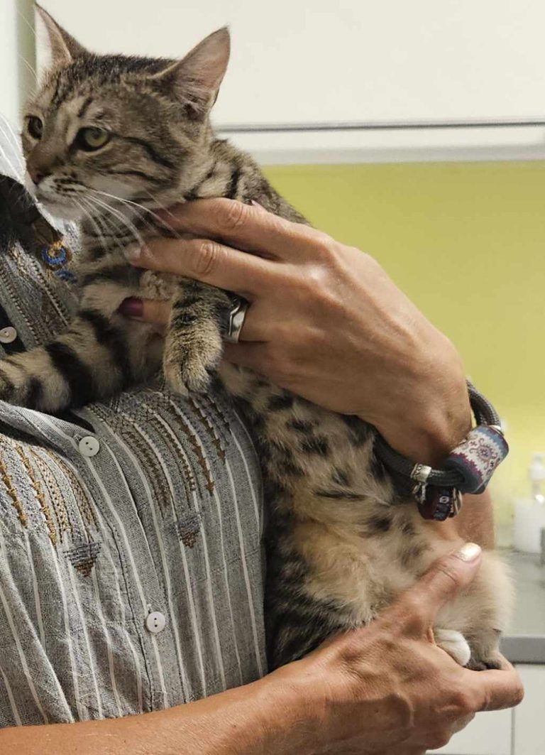 450874041 789253973400406 4070486142937096493 n