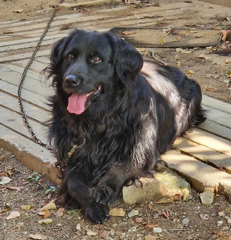 458504568 824532263205910 4831783492240912686 n 1