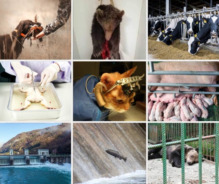 465676558 867954822196987 3994517696457248558 n