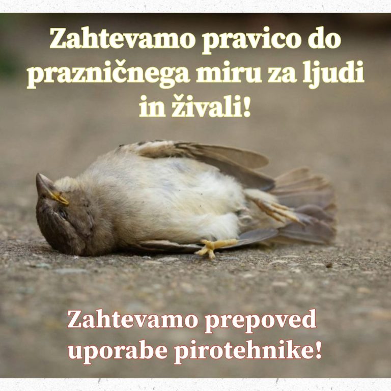 469095963 884994563826346 7499354817407846236 n