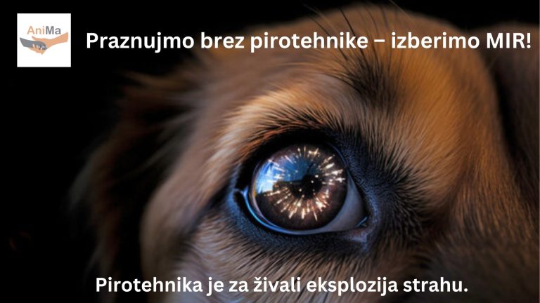 470191143 893841096275026 5969013265212474076 n