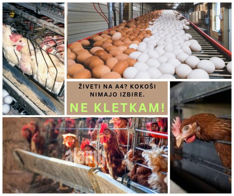 474328069 919142033744932 8240768621100097340 n