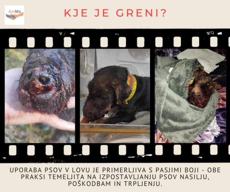 475151401 923000596692409 2849466414529642523 n