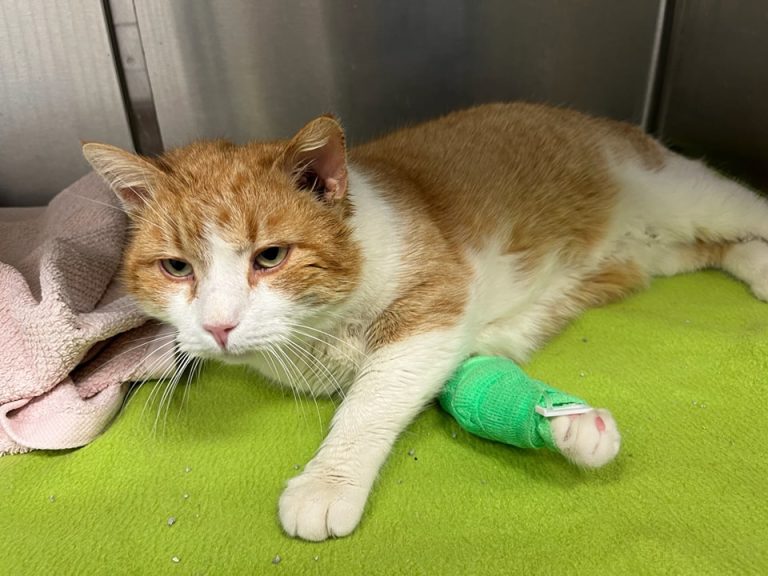 482807518 953900966935705 4618813189008696130 n