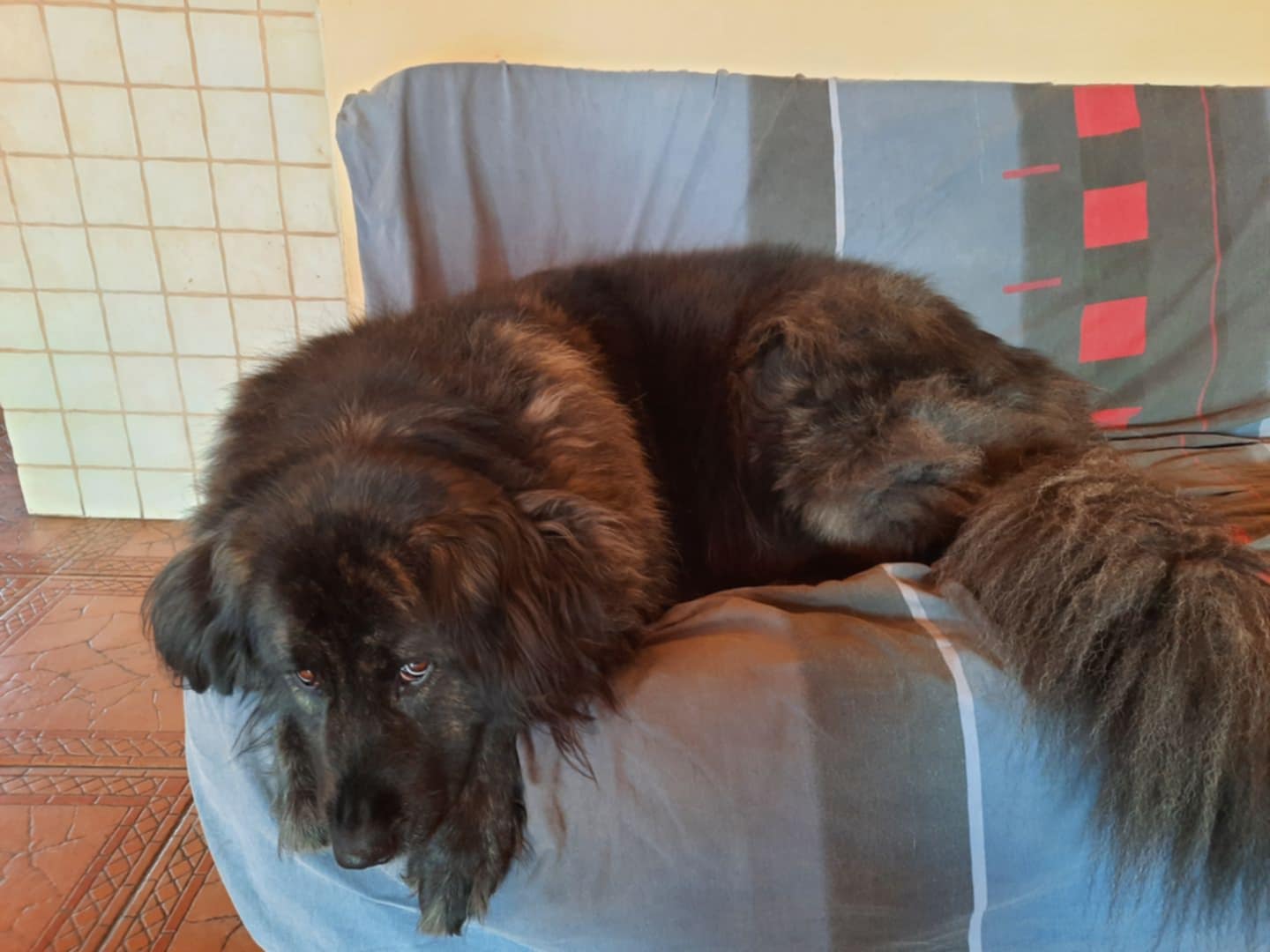 Domov 21 486233311 965321419126993 3721047901250990816 n