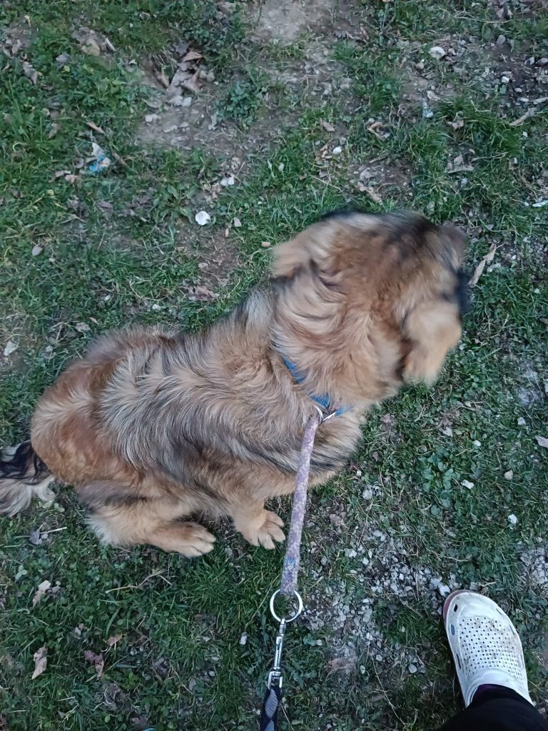 487928526 970004718658663 3102220079023003515 n