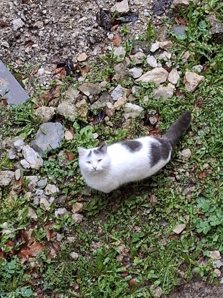 488015345 970703121922156 2298820749818845814 n