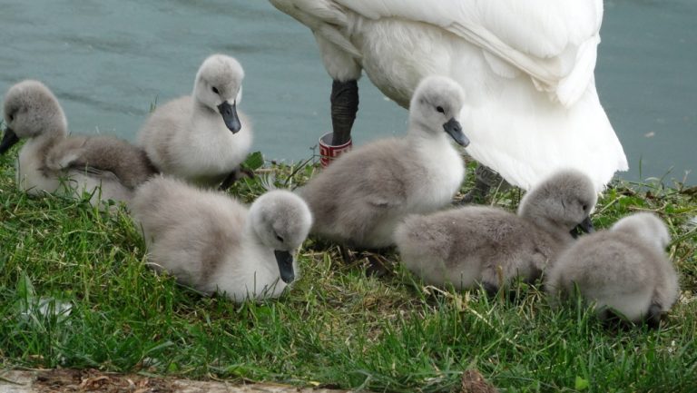 494818643 1092263249409477 6291347390757493339 n