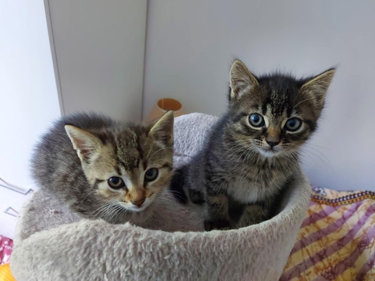 495126424 1009770294682105 6319979141352411425 n