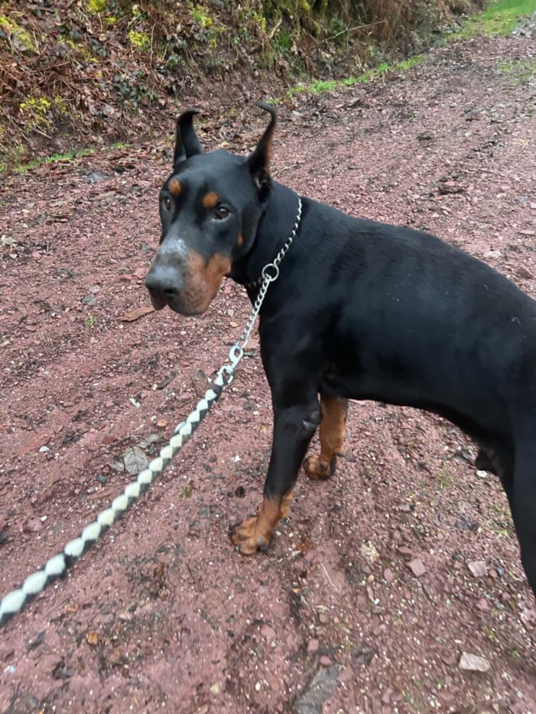 499681318 1019790357013432 9060675440612948301 n