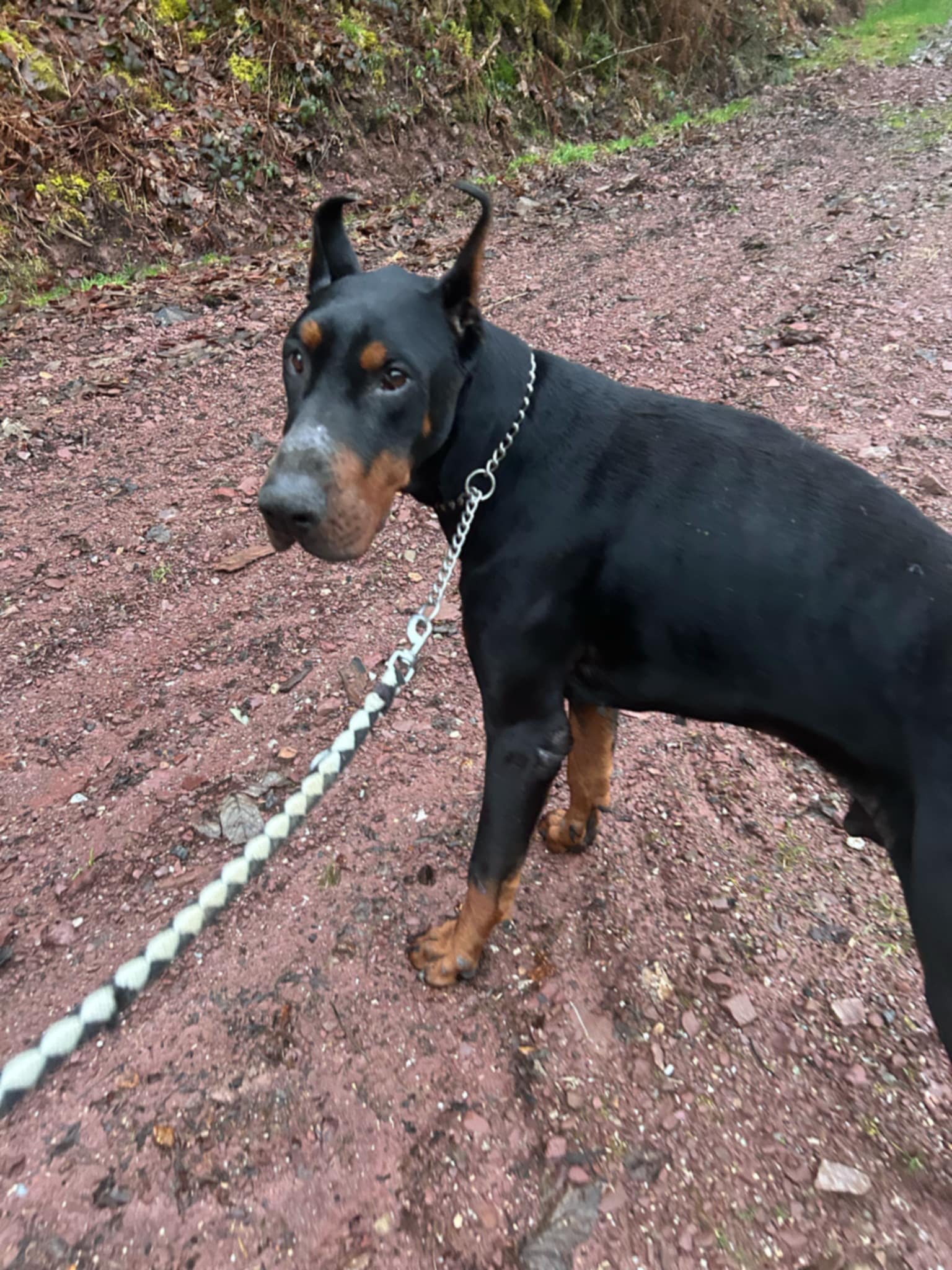 Domov 17 499681318 1019790357013432 9060675440612948301 n