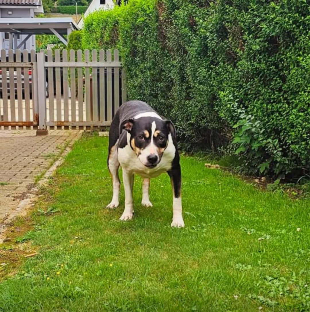 Domov 18 500019721 1011132914545843 4884670278474493177 n