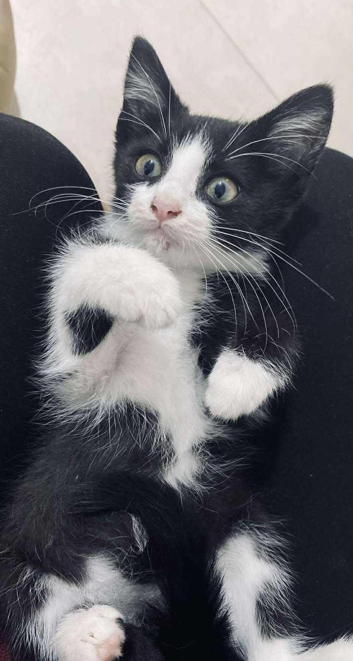 Domov 6 556030805 1117213117271155 2735808380458040374 n