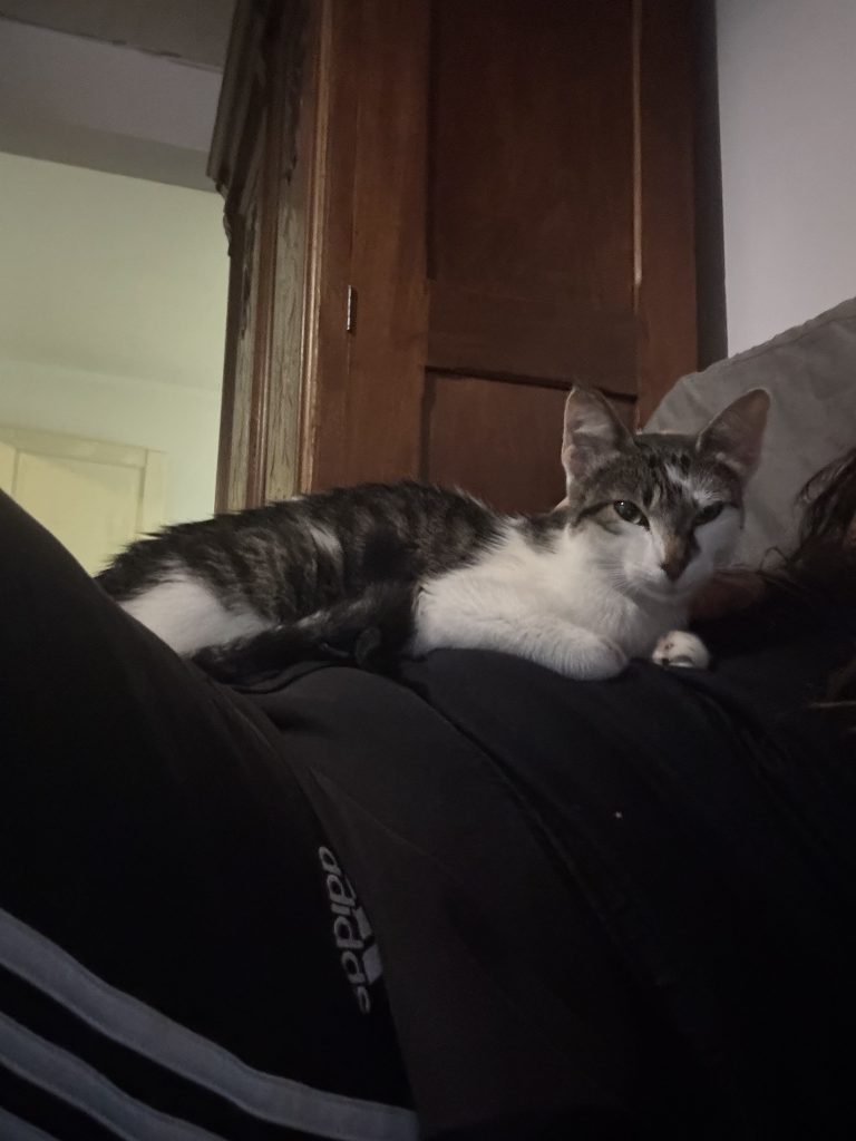 564047302 1128355442823589 6752913596951643354 n