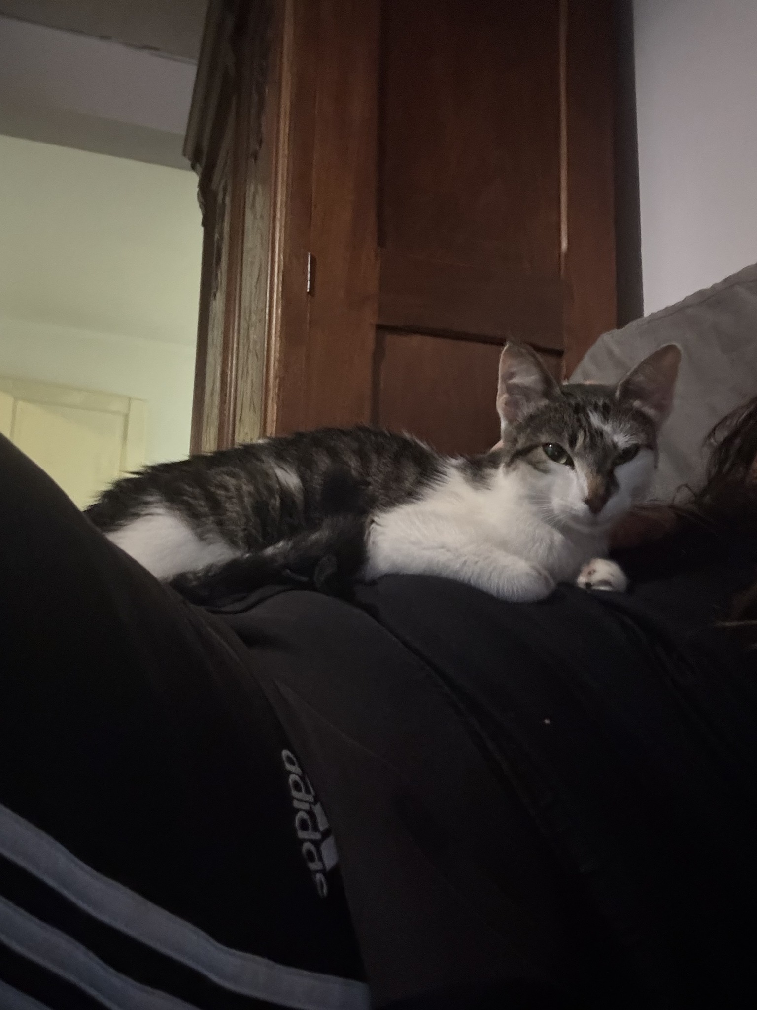 Domov 13 564047302 1128355442823589 6752913596951643354 n