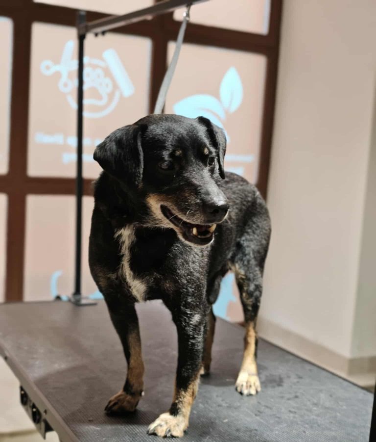 583060474 1155190566806743 2506732271223581306 n 1