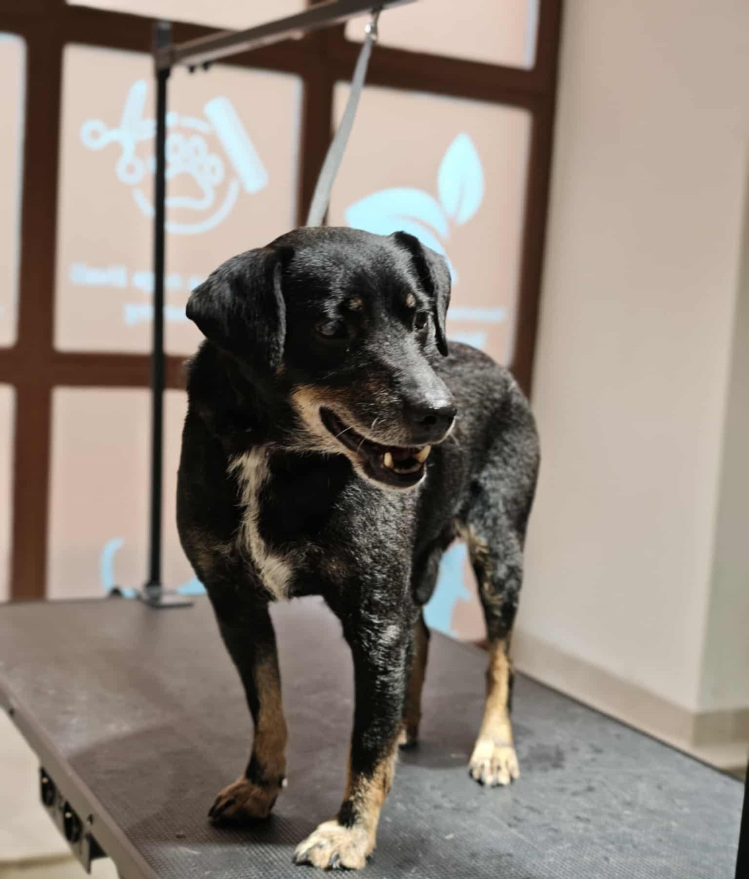 Domov 11 583060474 1155190566806743 2506732271223581306 n 1