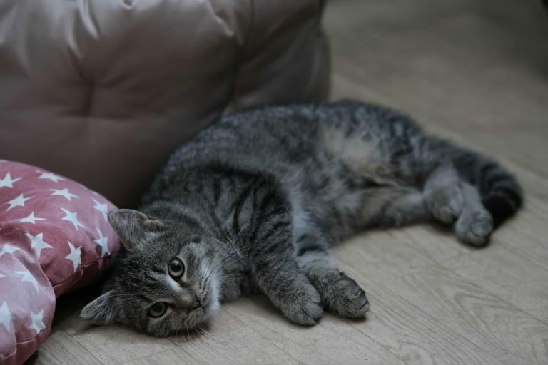 595513848 1174214971570969 2474165099862560601 n