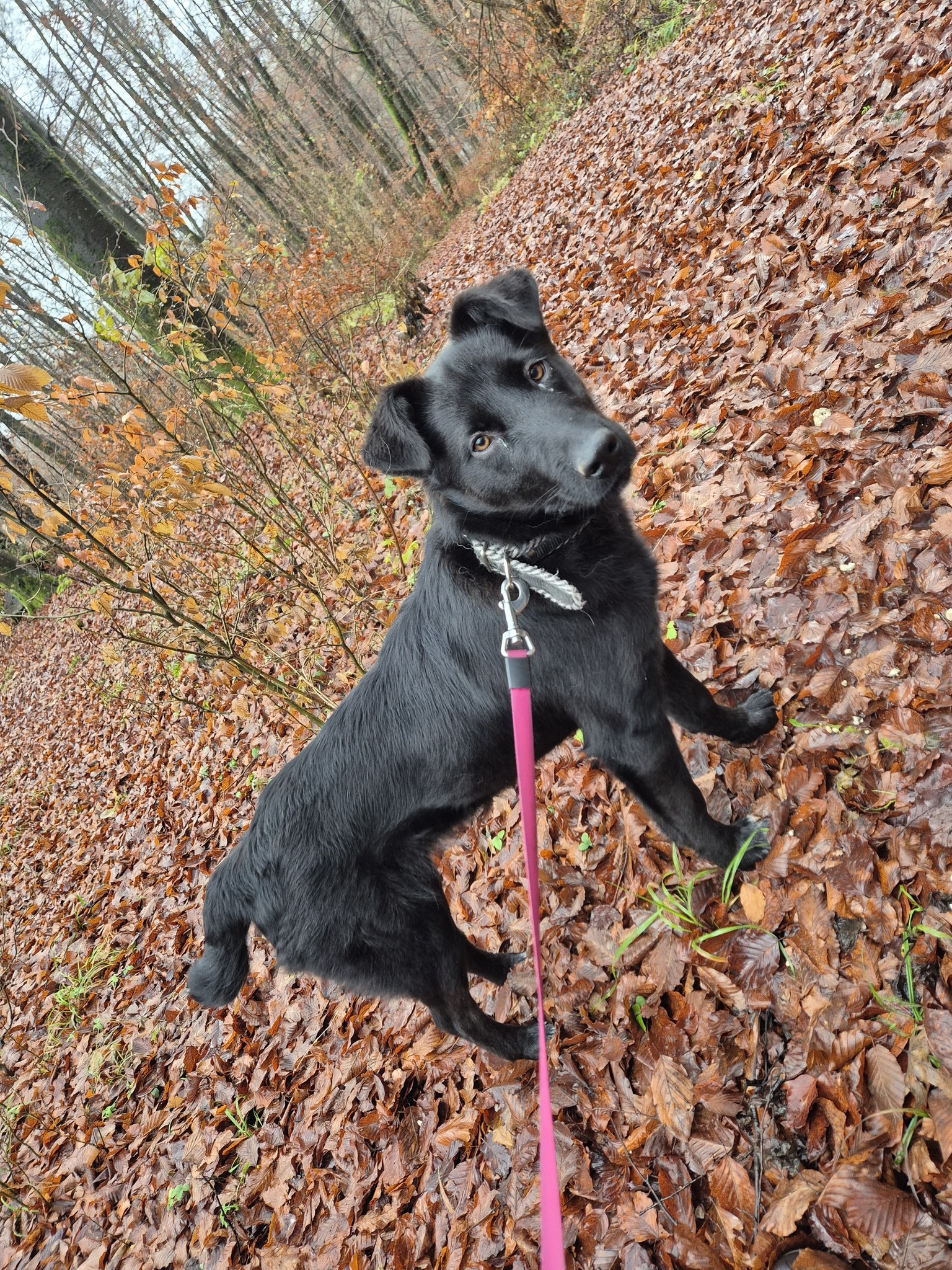 Domov 5 605138898 1185295427129590 7227883176981600883 n