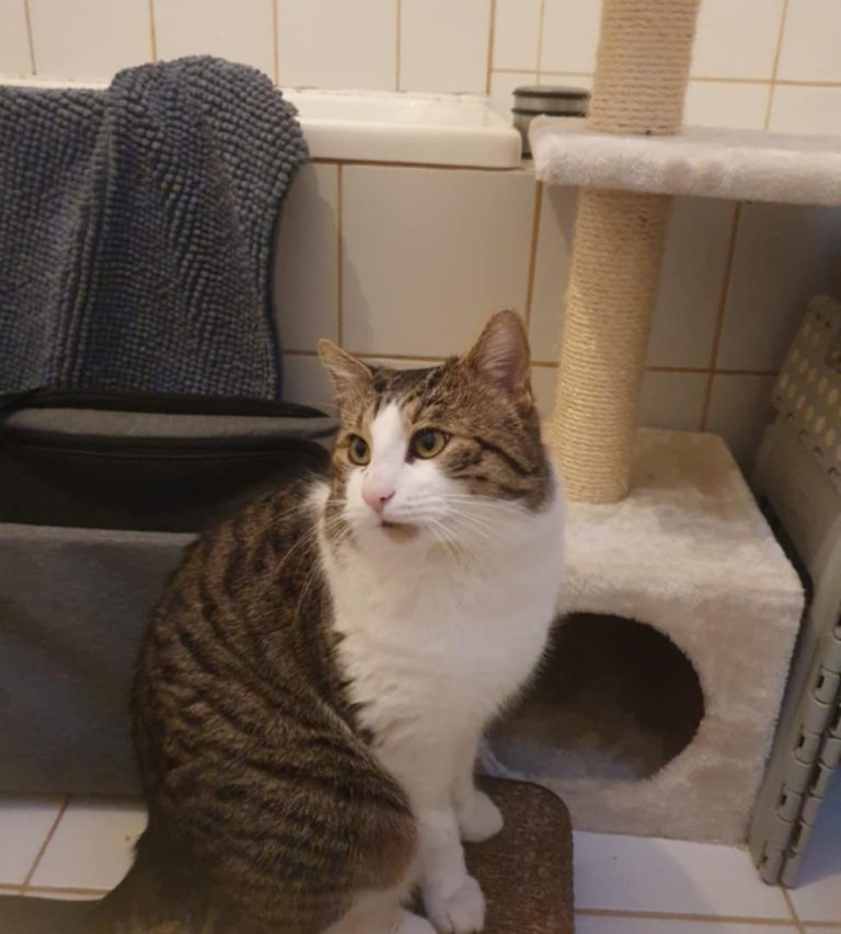 612409432 1196187229373743 5605975489349095375 n