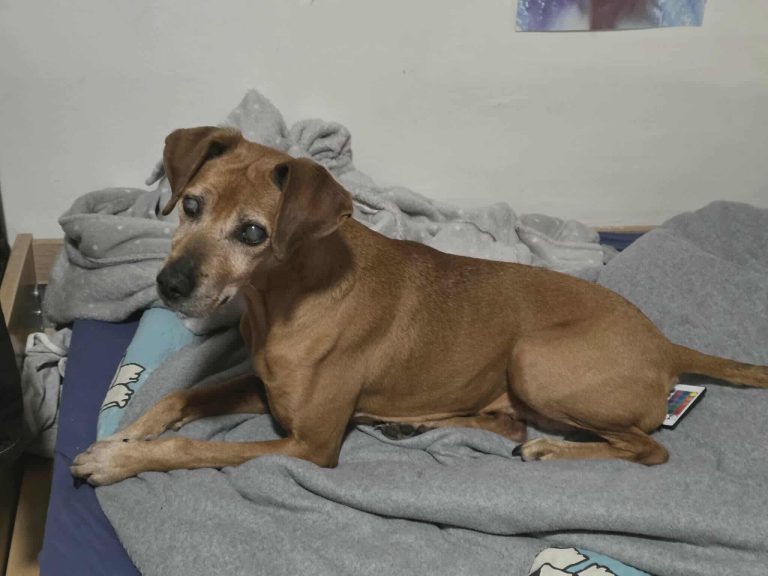 627390325 1218158633843269 954041670292472748 n