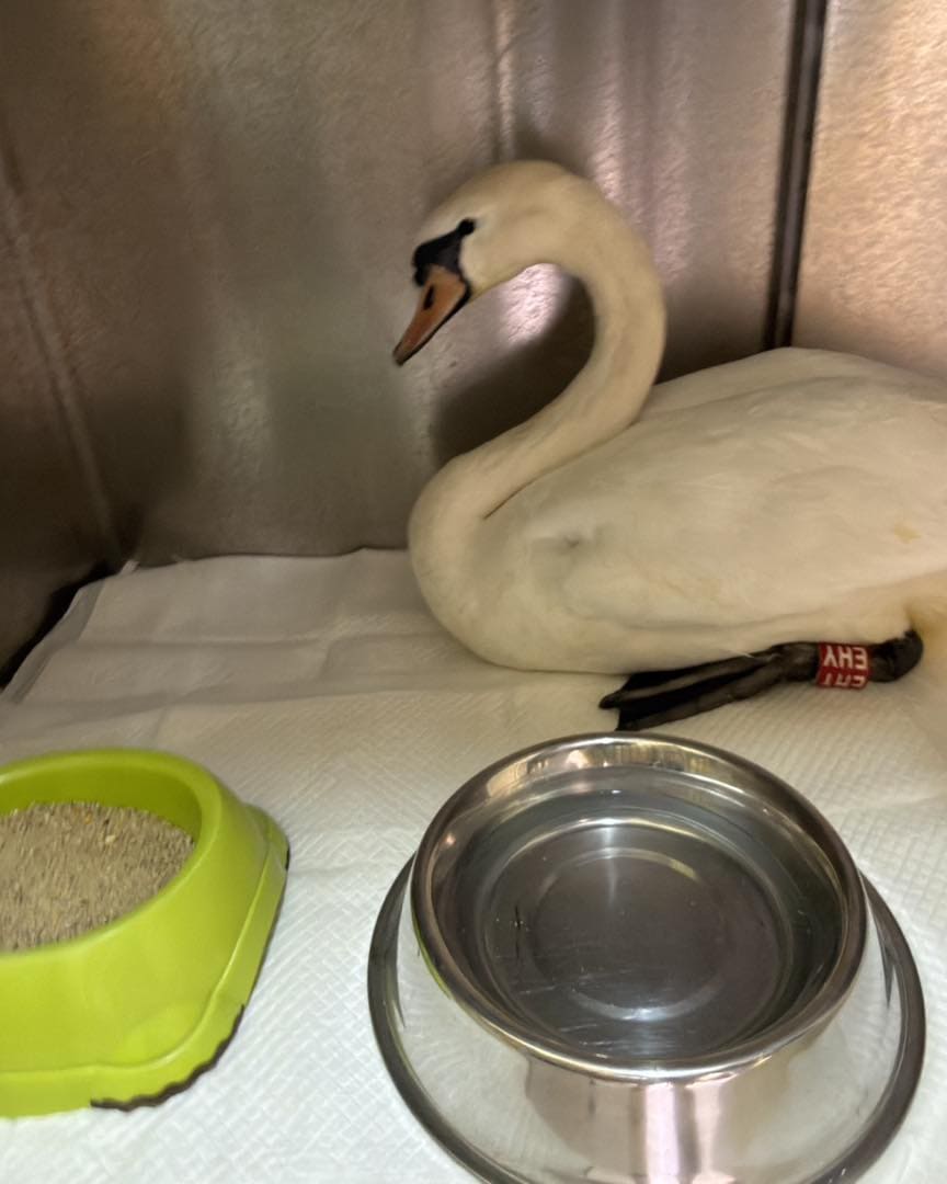 678691610 122327480024200177 9030647825327008319 n 1