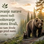 Narava in medvedi v gozdu ob sončnem zahodu, sporočilo o spoštovanju narave in živali.