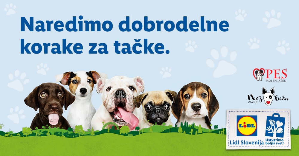 70513300 2688926687808467 4321818847419039744 o