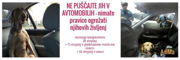 Ne puščajte jih v avtomobilih! 1 FotoJet Design