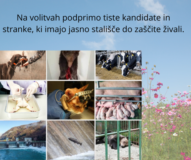 27 društev za zaščito živali jasno sporoča: 2 Na volitvah podprimo tiste kandidate in stranke ki imajo jasno stalisce do zascite zivali
