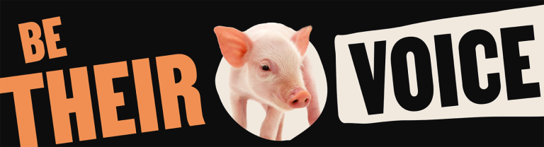 Web Banner Designs BE THEIR VOICE