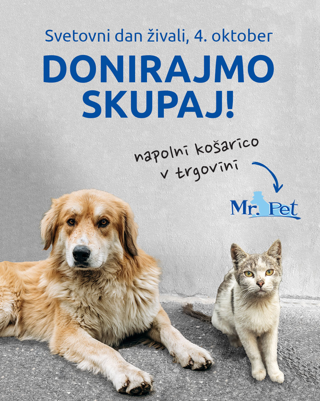 Zbiramo hrano v Mr. Pet trgovinah po Sloveniji 1 akcija 4 oktober