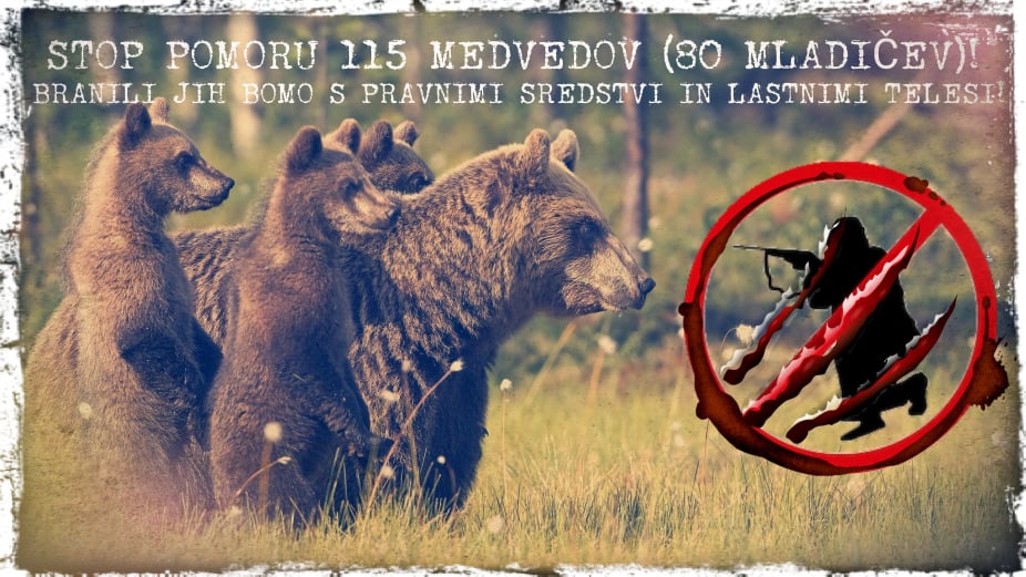 arso poboj 115 medvedov